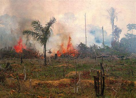 All quarters are advised against conducting open burning or allowing their land or premises to be encroached by irresponsible people who resort to open burning intentionally or unintentionally, she said. File:NASAburningbrazil.jpg - Wikimedia Commons