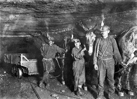 West Virginia Coal Mines 1940s Miners And Mules Working In A Coal Mine