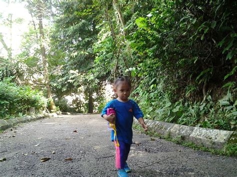 Taman eco rimba hutan simpan bukit nanas kuala lumpur. magazinesbymeen: Siput Trackerzs dan KL Forest Eco Park ...