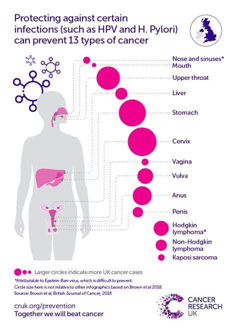 Cervical Cancer Risk Cancer Research Uk