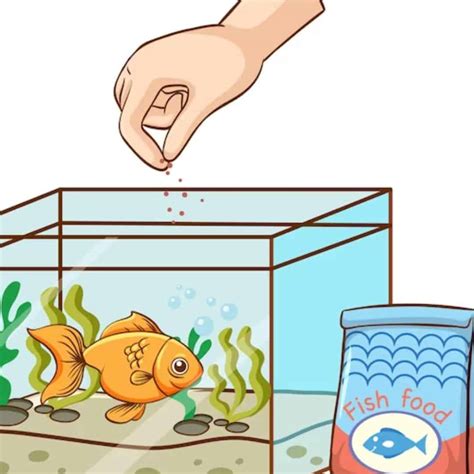 Feeding Fish Clipart