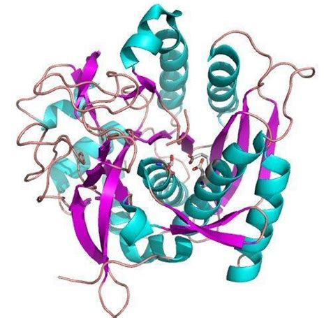 Proteases are classified according to their catalytic site, and distributed into four major classes. Proteases, Flavours & Aromatics | Aum Enzymes in Bhakti ...