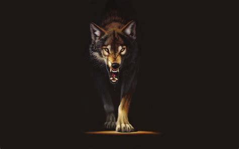 Wolf Wallpaper Cool Red Steam Community Red Wolf We Hope You Enjoy Our Growing