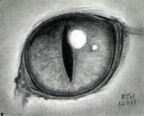 Cat Eye Pencil Drawing Cat Eyes Drawing Realistic Drawings Eye Art