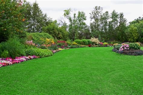Green Lawn In Landscaped Formal Garden Stock Photo Download Image Now