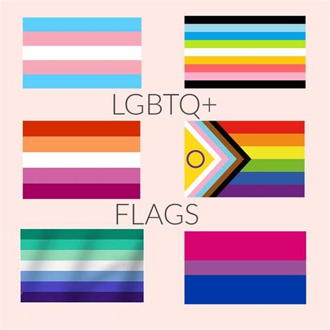 Celebrate Pride Month Six Pride Flags Explained In 2023 Pride Flags Celebrate Pride Trans