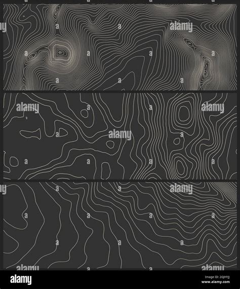 Grey Contours Vector Topography Geographic Mountain Topography Vector