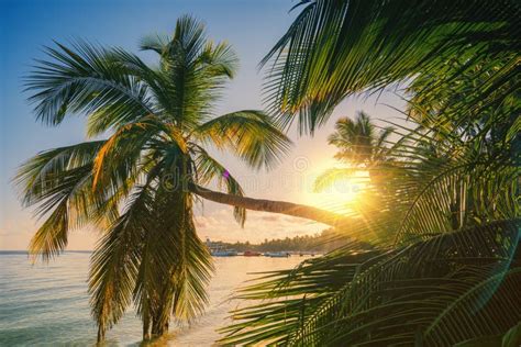 Landscape Of Paradise Tropical Island Beach Sunrise View And Exotic