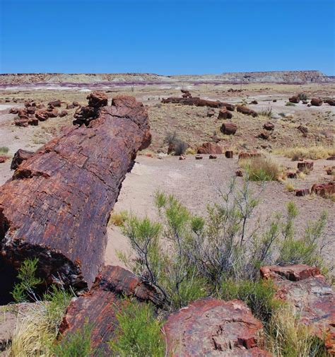 Petrified Forest National Park Guide The Wandering Homemaker
