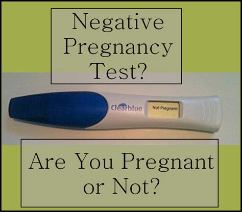 Can I Be Pregnant After A Negative Test Hubpages