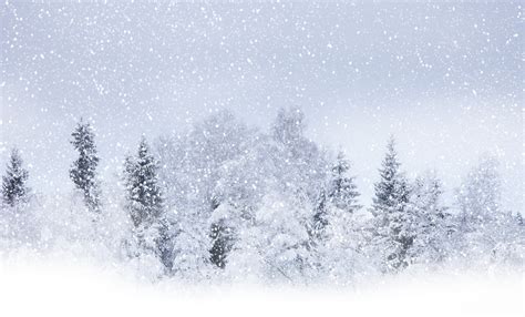 42 Snow Blizzard Wallpaper Wallpapersafari