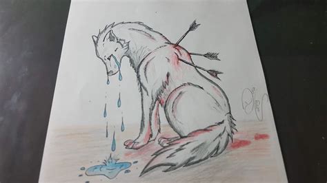 COMO DESENHAR LOBO How To Draw Wolf Passo A Passo Comodesenhar