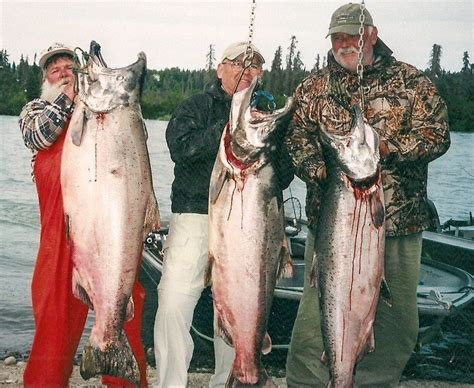Alaska King Salmon Alaska Halibut Fishing Charter