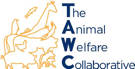 The Animal Welfare Collaborative 27 July 2023