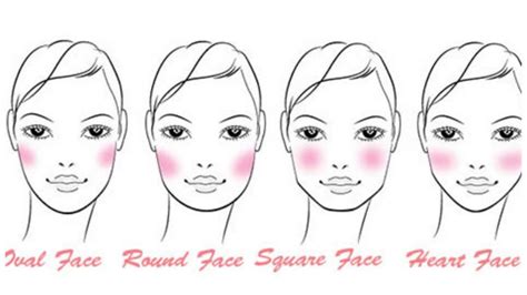 How To Apply Blush Correctly For Your Face Shape Musely