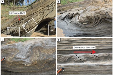 Varieties Of Convolute Laminated Layers Interbedded With Undisturbed