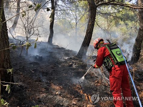 1,180 отметок «нравится», 64 комментариев — 부산정보통 / 부산맛집 부산카페 부산여행 부산핫플 (@busan_sources) в instagram: 안동 산불 진화하는 공중진화대원들 | 연합뉴스