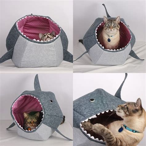 Enter To Win A Great White Shark Ball Kitty Bed From The Cat Ball