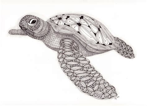 Tangled Sea Turtle 2 001 Sea Turtle Drawing Sea Turtle Artwork