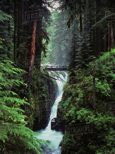 Sol Duc Falls Plunges Down The Cliffs Forks Washington United States