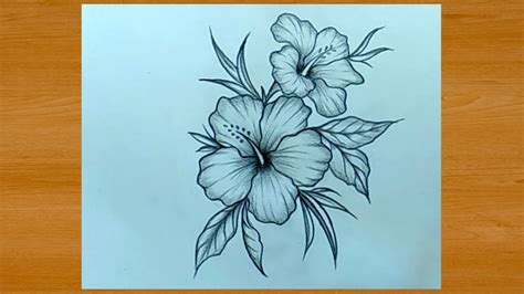 Beautiful Flower Drawing With Pencil Easy Youtube