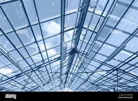 Glass Ceiling Of Contemporary Greenhouse Structure Of Steel Roof Frame