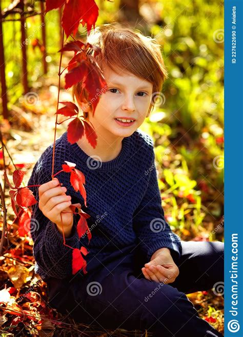 A Boy In A Blue Sweater Stands By A Fence Woven Into Autumn Red Grapes