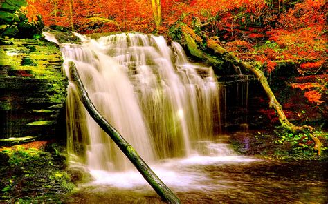 Autumn Forest Waterfall Nature Aiyumn Hd Background
