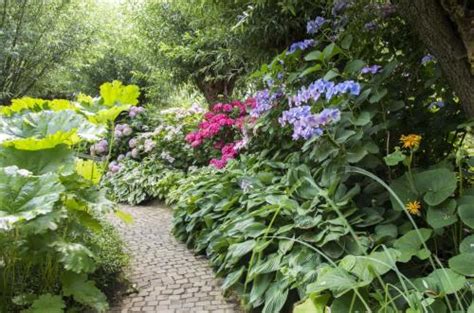 Maybe you would like to learn more about one of these? Cottage Garten anlegen: Romantik garantiert ...