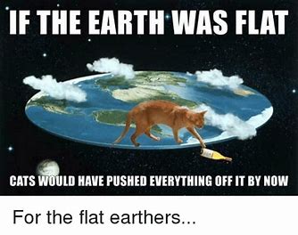Image result for cats and flat earth