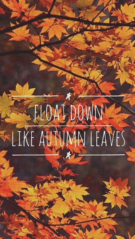 Autumn Leaves Ed Sheeran Lyrics Lockscreen Fall Wallpaper Iphone