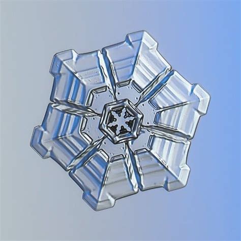 Алексей Клятов Snowflake Macro в Instagram Real Snowflake Very Small