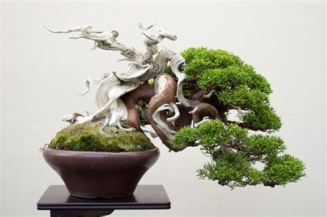 A Bonsai Tree In A Brown Pot On Top Of A Wooden Table Next To A White Wall