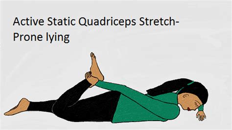 Quadriceps Stretch Stablemovement Physical Therapy