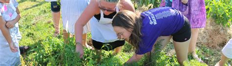 Wakulla 4 H To Award Over 10000 In Summer Day Camp Scholarships Uf