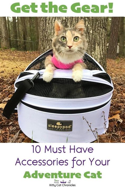 Get The Gear 10 Must Have Accessories For Your Adventure Cat Kitty