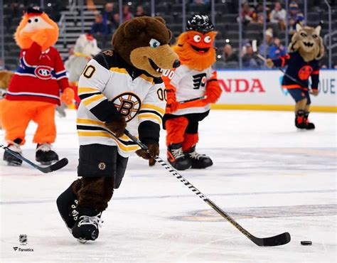 Blades Skating On The Ice Boston Bruins 8 X 10 Mascot Photo Dynasty