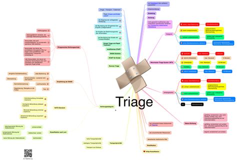 Triage Das Kleinhirn