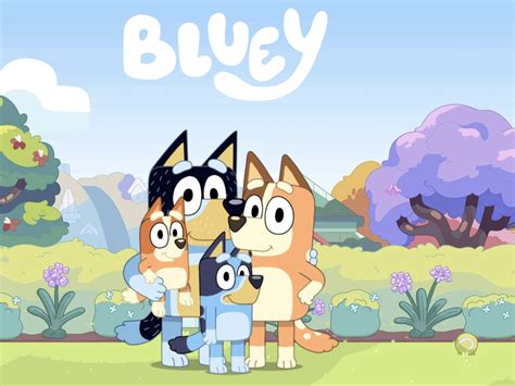 Bluey Complete Seasons One And Two Best Buy Ubicaciondepersonascdmx