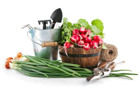 Tuinhulpmiddelen Met Pot En Grondzaailingen Stock Foto Afbeelding