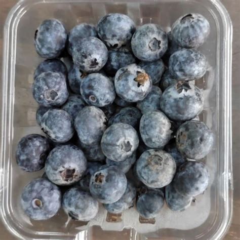 Blueberry Fresh Sa Blueberries 125g± Lazada