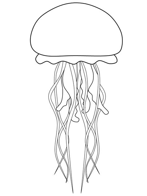 New jellyfish coloring pages will be added frequently so check back often! template (With images) | Jellyfish painting, Coloring ...