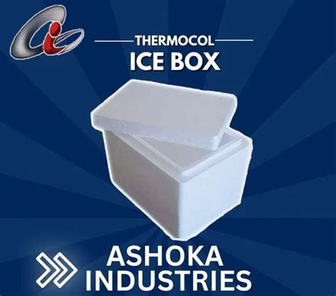 Normal EPS Thermocol Ice Box At Rs 20 Piece In Ambala ID 2849105514673