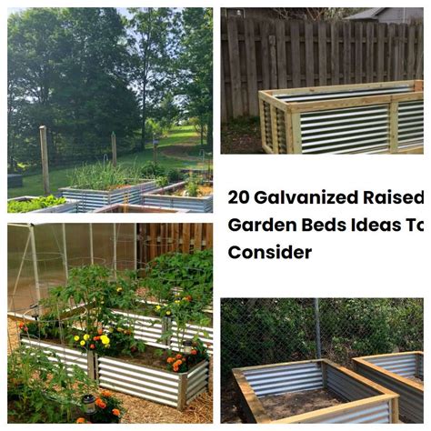 20 Galvanized Raised Garden Beds Ideas To Consider Sharonsable