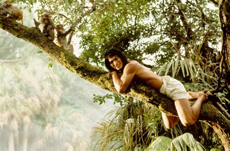 Mowgli, his pet wolfcub and the rescuedbearcub balu follow the panther through the jungle and i went with them.every actor modulates his or her performance to make the story happen, tobalance the telling. Mowgli (Jason Scott Lee) - The Jungle Book (1994) Photo ...