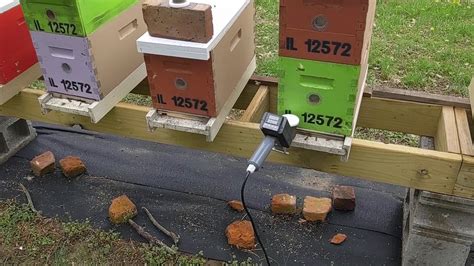 Quick Varroa Mite Treatment For Honey Bees With Oxalic Acid Vapor Youtube
