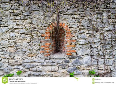 Loophole Overgrown With Lianas In Stone Wall Stock Photo Image Of