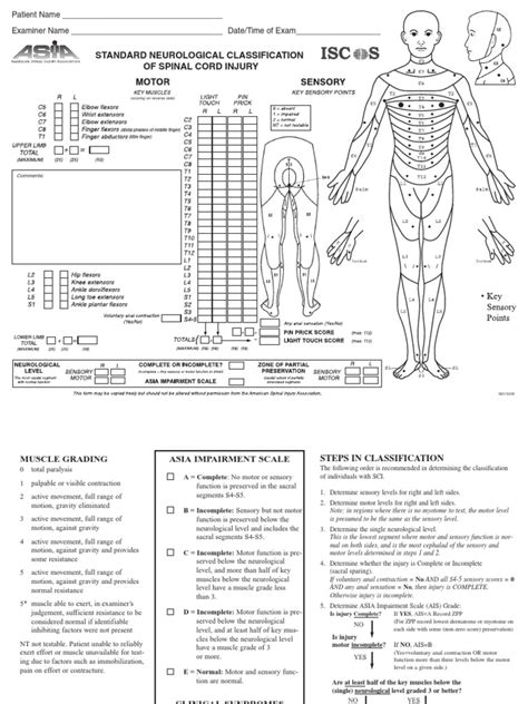 Asia Worksheet Spinal Cord Nervous System