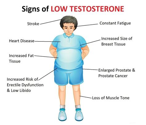 What Causes Low Free Testosterone Levels Testosterone Hormone Symptoms