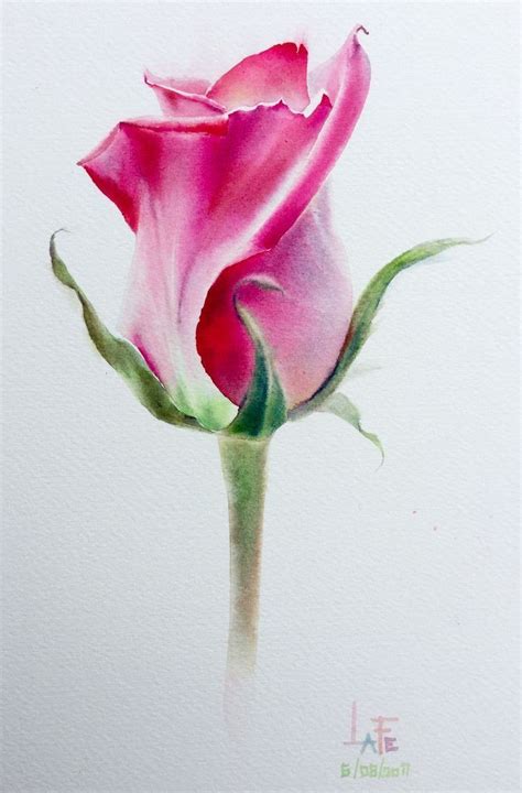 Pin By Ilona Coffee On Aquarellesfleurs Flower Painting Watercolor